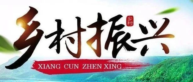 林业强书记、伍世亮校长带队到高州市石鼓镇开展 “巩固脱贫成果  助力乡村振兴”调研慰问活动