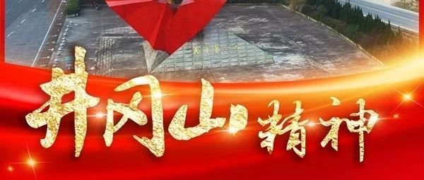 奋斗百年路 启航新征程•中国共产党人的精神谱系｜这道光，照亮前行之路——井冈山精神述评