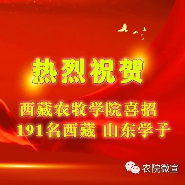 191人！西藏农牧学院完成2021年西藏地方专项和山东省招录工作