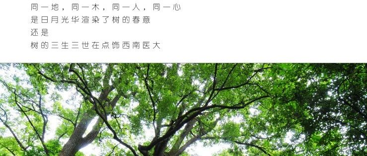 你的地盘你做主！“我最喜爱的校园景观”征集令来啦~