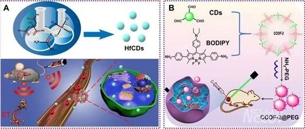 学校郑敏教授团队在生物医学材料应用领域取得进展