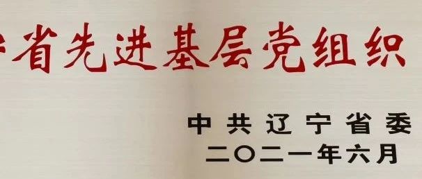 喜报 | 大连艺术学院党委荣获“辽宁省先进基层党组织”称号