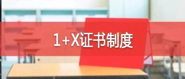 经济学院扎实推进1+X证书试点，让学生毕业即能上岗