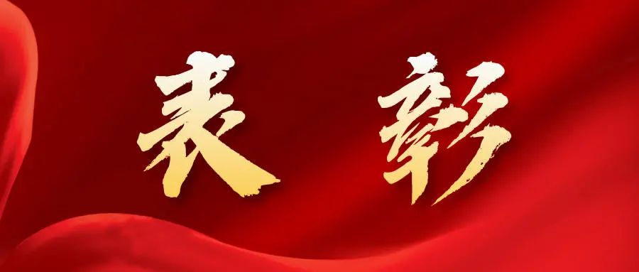 喜讯！我校获省级“两优一先”荣誉称号创新高