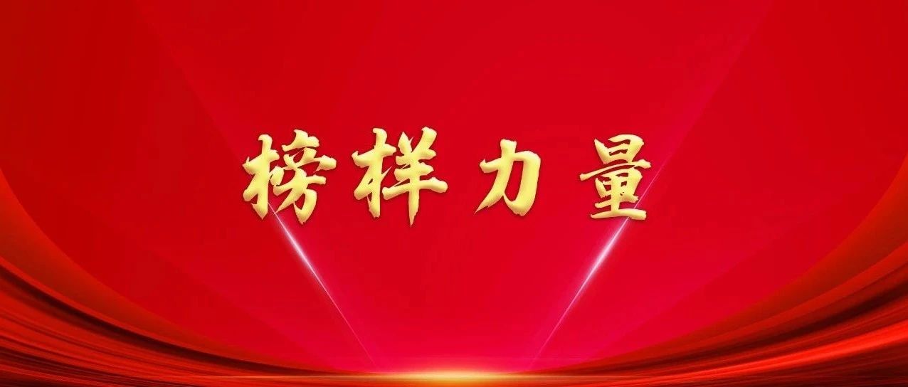 榜样力量丨“七一勋章”获得者先进事迹（二）