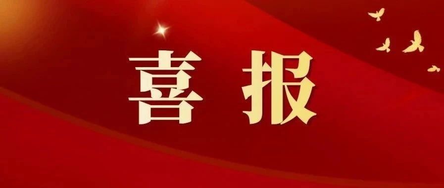 学院孙茜芸教师团队获批“山东省高校黄大年式教师团队”