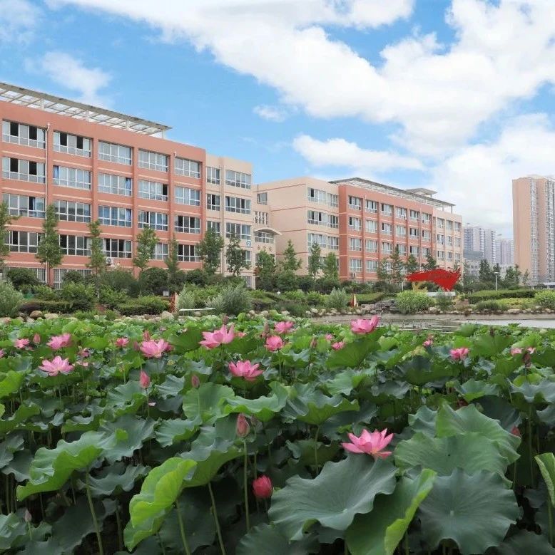 南阳农业职业学院关于2021年招生相关问题的郑重声明