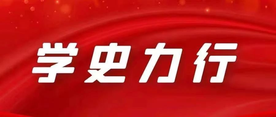 深刻把握党史学习教育的落脚点（深入学习贯彻习近平新时代中国特色社会主义思想）