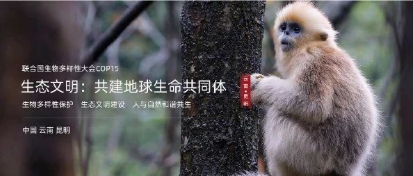 保山学院师生收看云南省“COP15 大会”志愿者宣讲团保山专场网络宣讲会