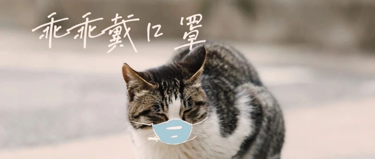 跟随警猫科学防疫