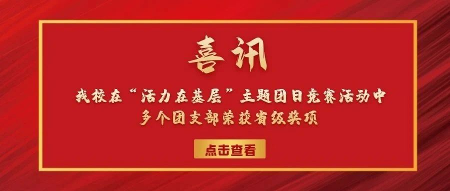 喜讯 | 我校在“活力在基层”主题团日竞赛活动中多个团支部荣获省级奖项