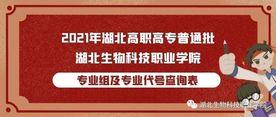 院校专业组及专业代号查询表（湖北省）