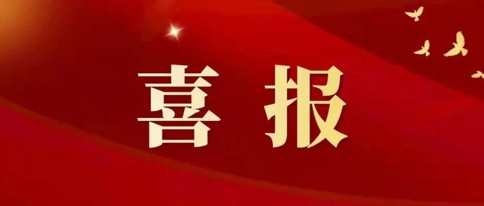 【喜报】我校辅导员林雅峥荣获 第十三届“黑龙江省高校辅导员年度人物”