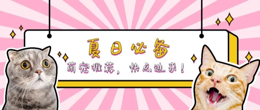 今日采访 | ”立达萌宠“的夏日必备~