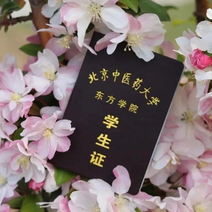 北京中医药大学东方学院之约|漫步校园角落