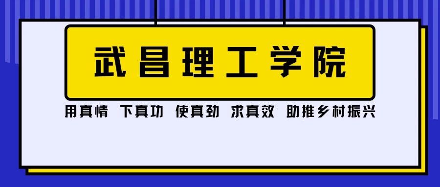 武昌理工学院：用真情 下真功 使真劲 求真效 助推乡村振兴