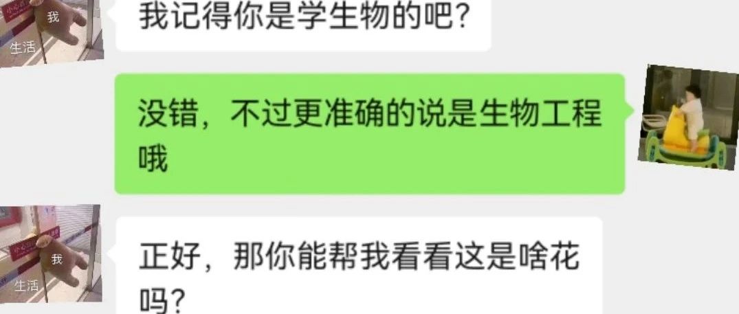 专业介绍最后一弹！“我不要你以为，我要我以为！”