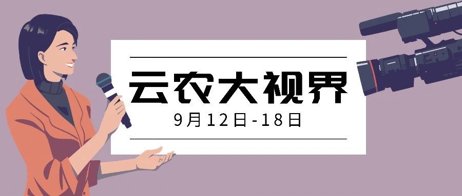 云农一周大视界（9月12-18日）