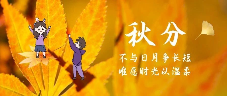 秋分 | 不与日月争长短，唯愿时光以温柔