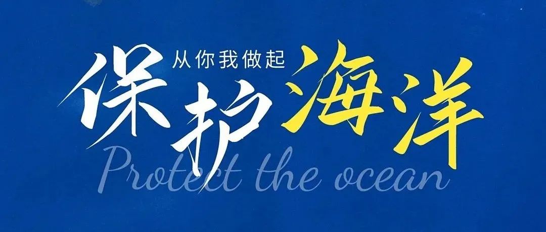 海洋监测净滩活动，共同守护蔚蓝星球