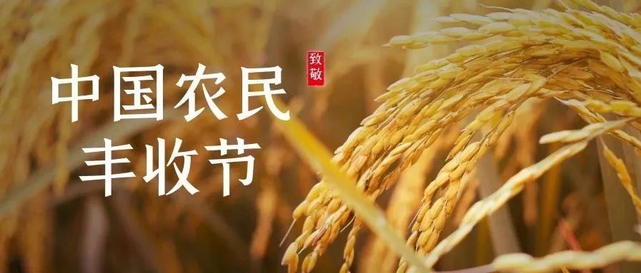 这个节日，沈农从未缺席