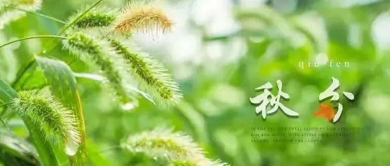 交大微节气| 时光匆匆，硕果累累秋分来