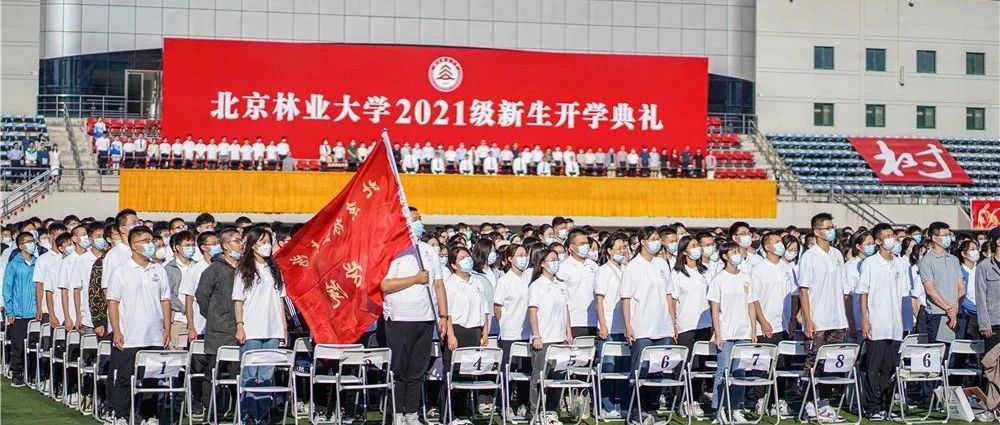 开学啦！现场直击，北林大2021级新生开学典礼！