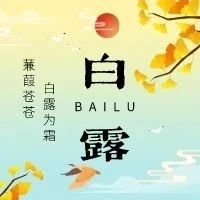 白露 | 露从今夜白 月是故乡明