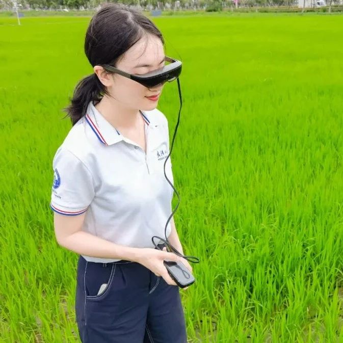 这200亩水稻不得了！用5G灌溉、拿AI施肥