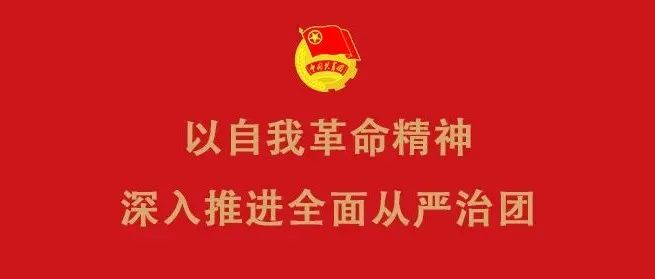 以自我革命精神深入推进全面从严治团