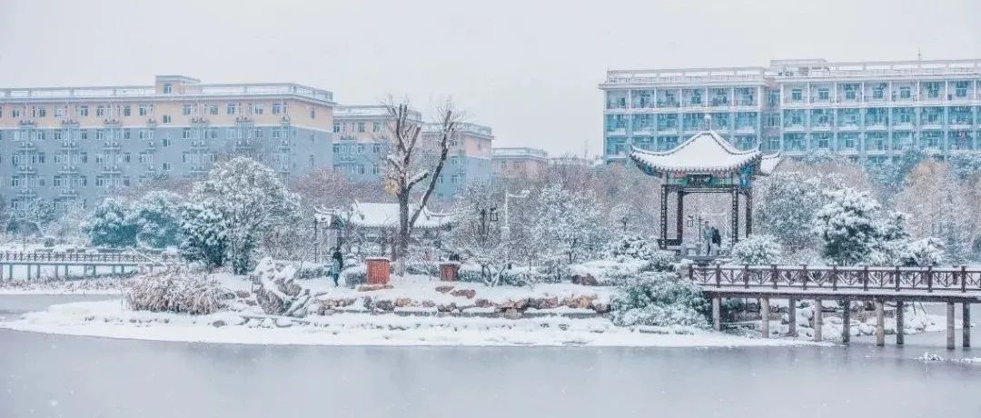 没看到雪？今天为你圆梦！