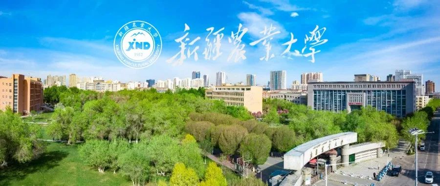 新疆农业大学校领导看望慰问春节坚守岗位的一线职工