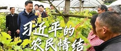 习近平的农民情结：“我也是从农村出来的”