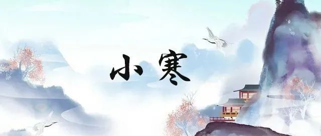 24节气｜小寒：岁暮小寒，向暖而生