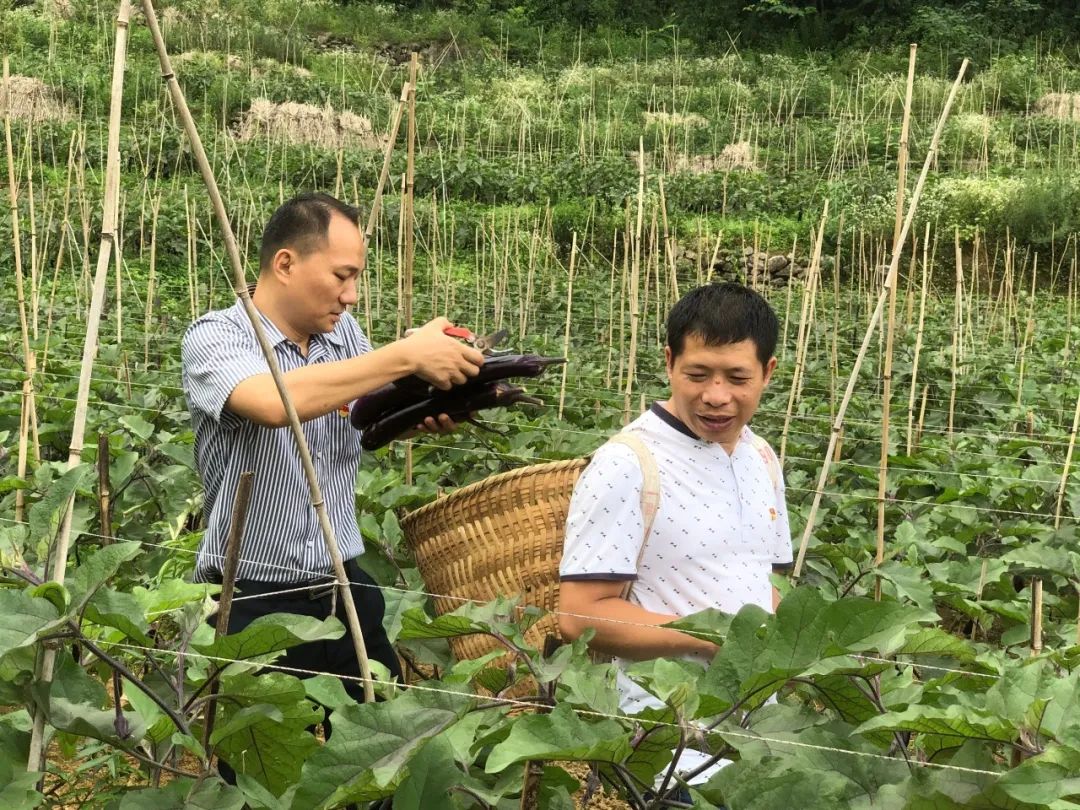 守初心决胜脱贫攻坚，担使命助推乡村振兴：挂职贵州省长顺县委常委、县人民政府副县长平睿采访纪实