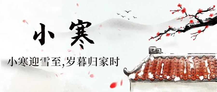 小寒 | 万物归隐，心自生暖