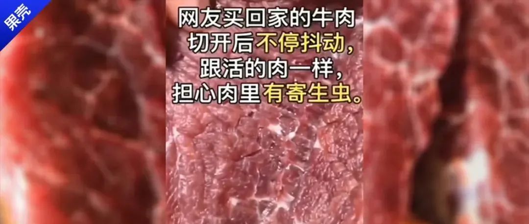 买回家的牛肉在跳动，真新鲜啊但不一定好吃！