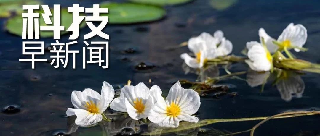 我国载人登月火箭2030年前完成研制；新冠候选药或可抑制所有变异株｜科技早新闻