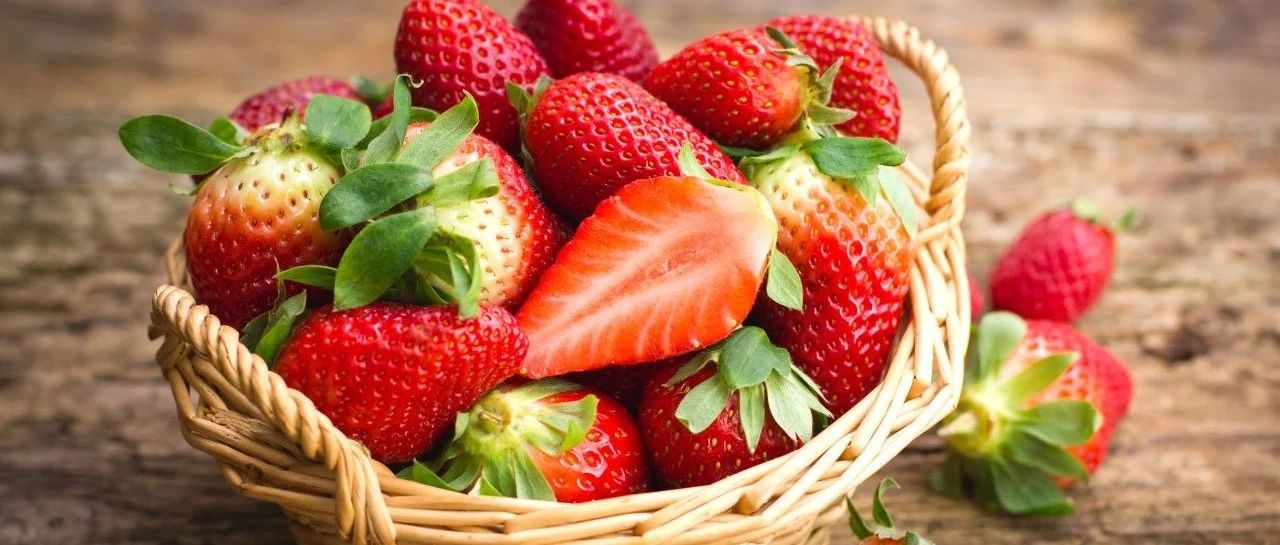 真正的草莓大省，甜到齁