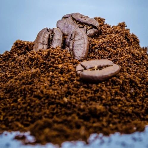 一个违背祖训的决定：生产咖啡的人，开始不种咖啡豆了