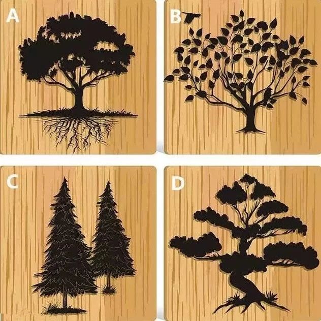 4棵树选1棵，测出你性格中的大漏洞！