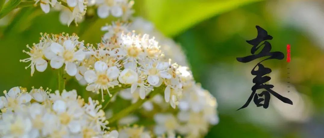 二十四节气 |今日，立春