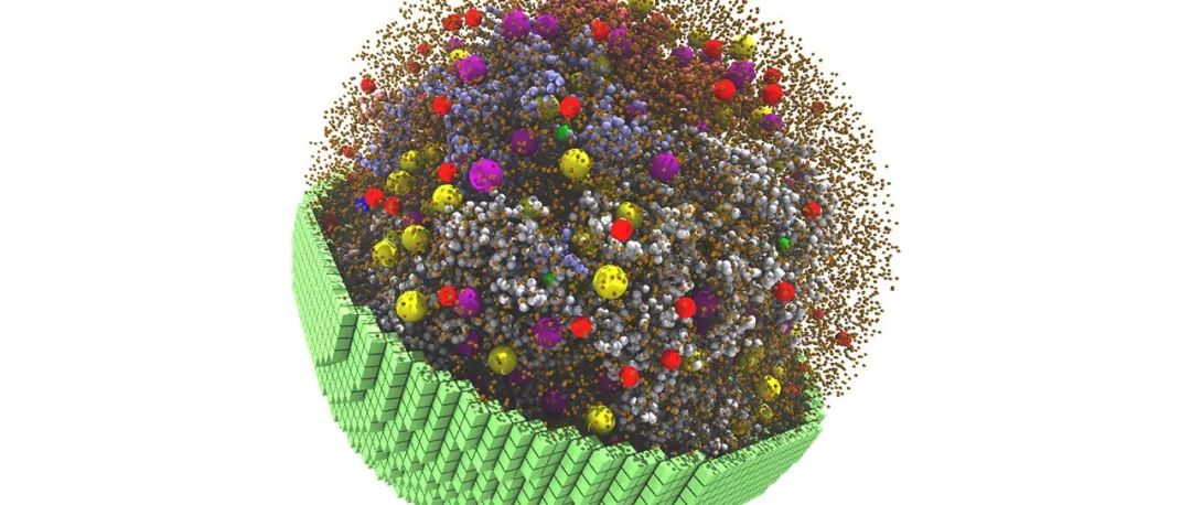 英伟达GPU化身造物主？从原子开始3D模拟活细胞，含500个基因，模拟只需20分钟