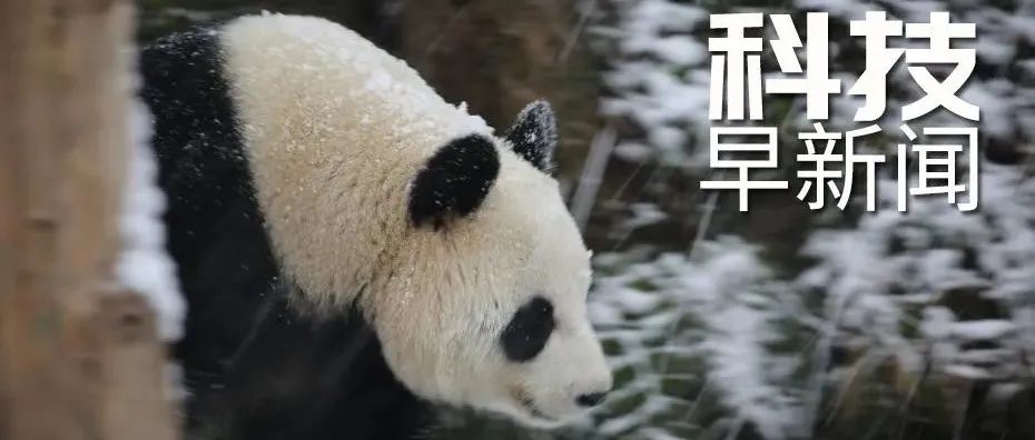 科技早新闻来了丨2022-2-8