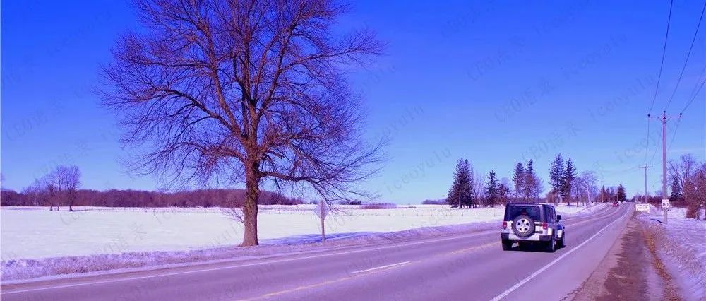 远处是风景，近处才是人生