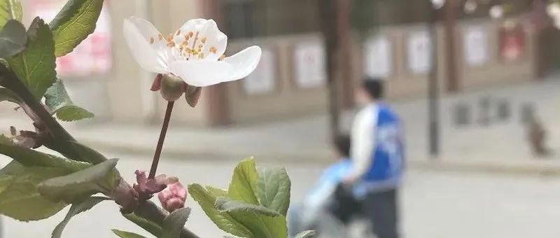 校领导接待日来啦