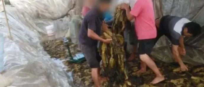 “土坑酸菜”被连夜查封，康师傅、统一道歉