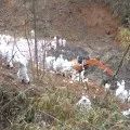 网友建议在飞机失事地点立纪念碑，广西藤县回复