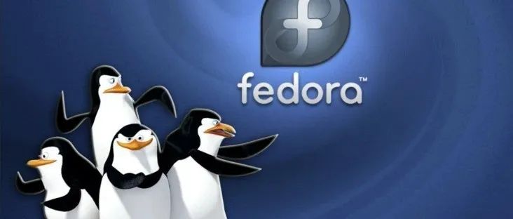 Fedora 负责人“抨击” NVIDIA 专有 linux 驱动程序：建议向 Intel 和 AMD 学习“开源”