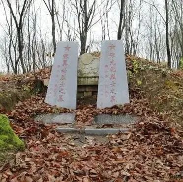 抗日烈士墓碑倾倒无人管？